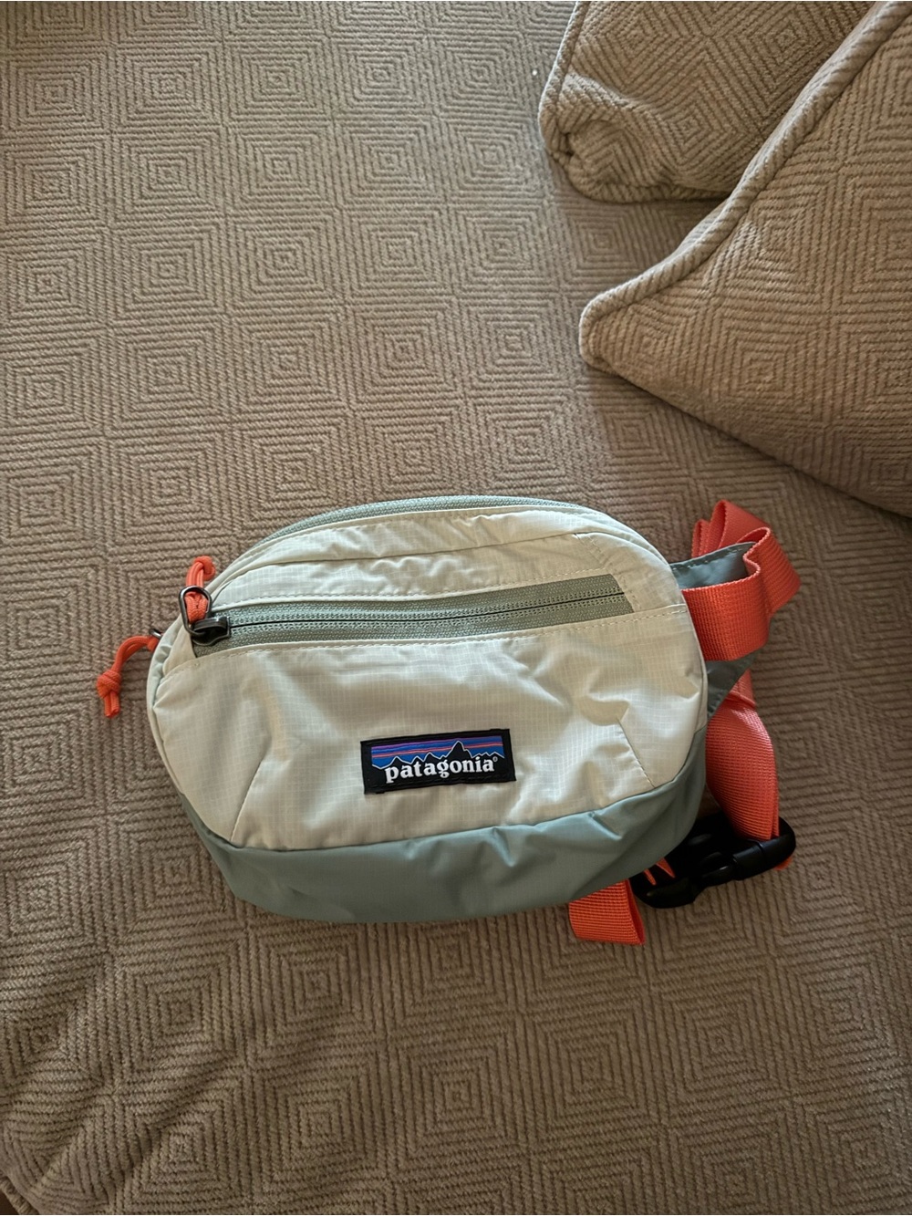 Patagonia hip pack